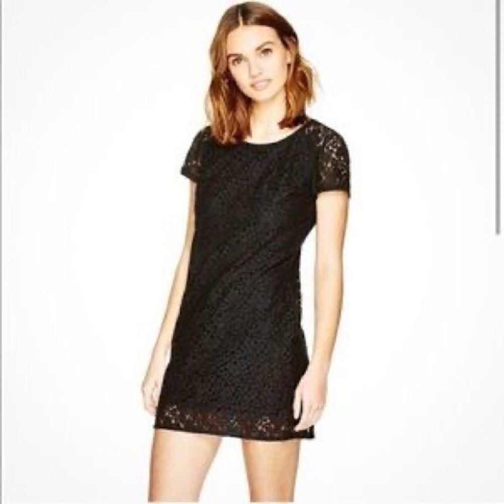 Aritzia Talula Oji Bugundy Lace Short Sleeve Mini Dress Small - Picture 2 of 9